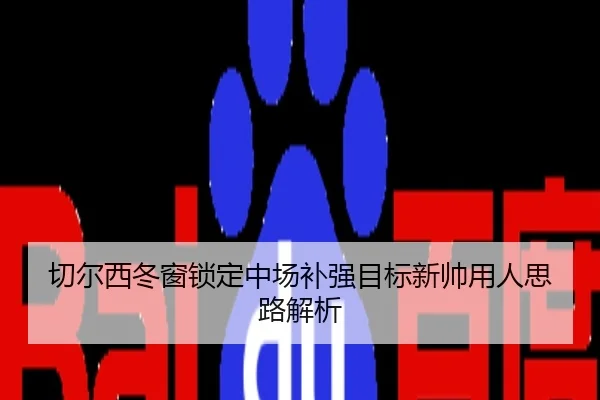 切尔西冬窗锁定中场补强目标新帅用人思路解析